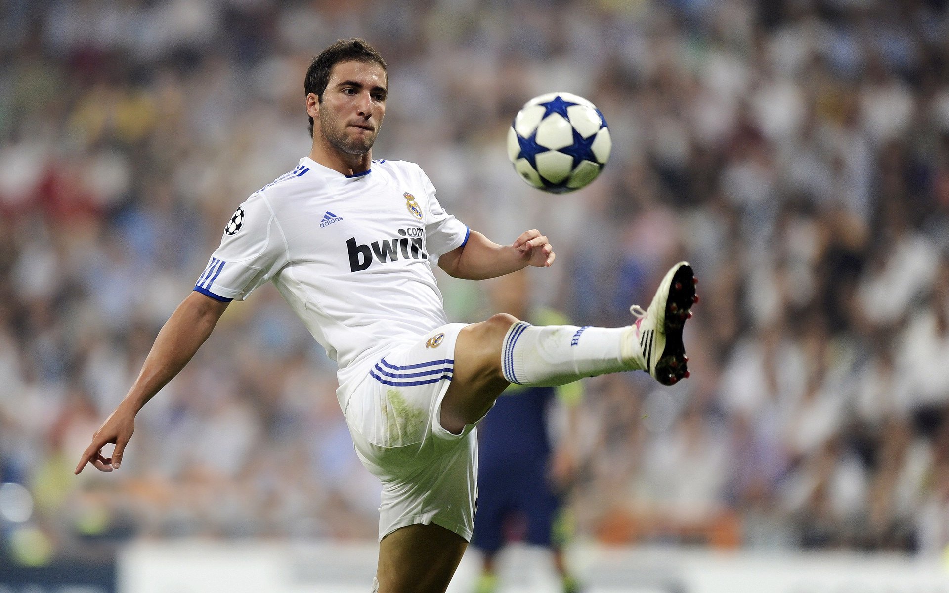 本土球员在关键赛事中缺乏自信心，本土球员得分榜