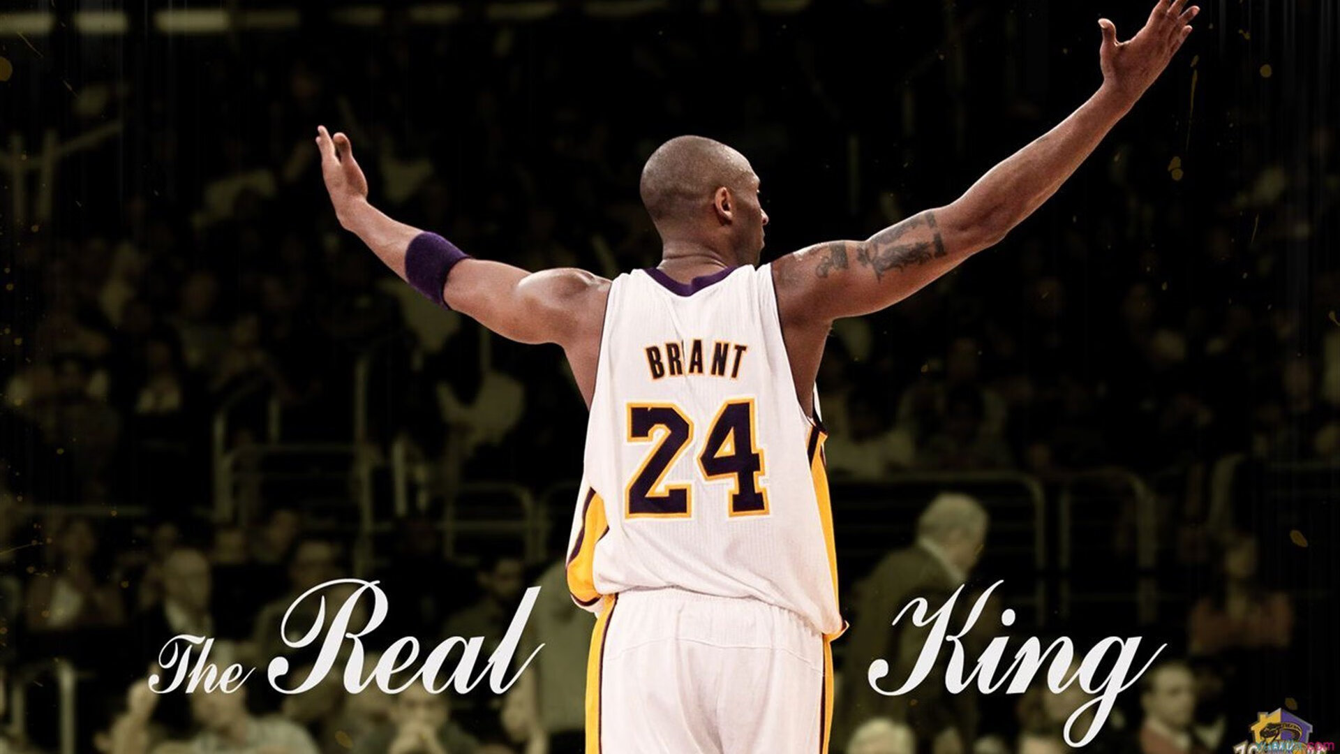 荷兰队在欧洲预赛中持续保持优异表现，晋级希望大好